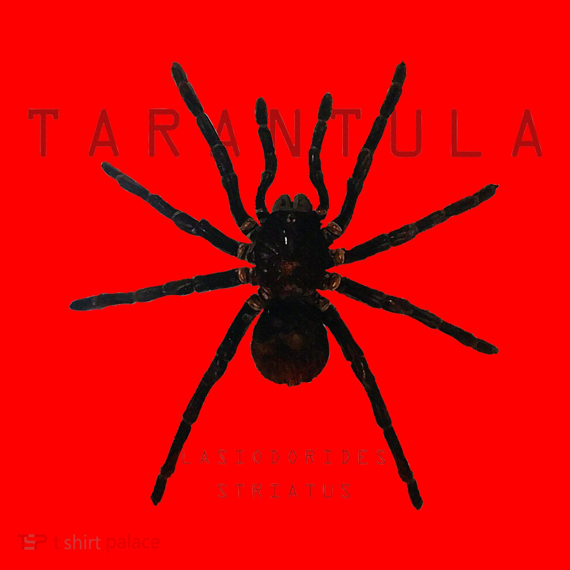 Creepy Real Taxidermy Tarantula Spider Santa Hat