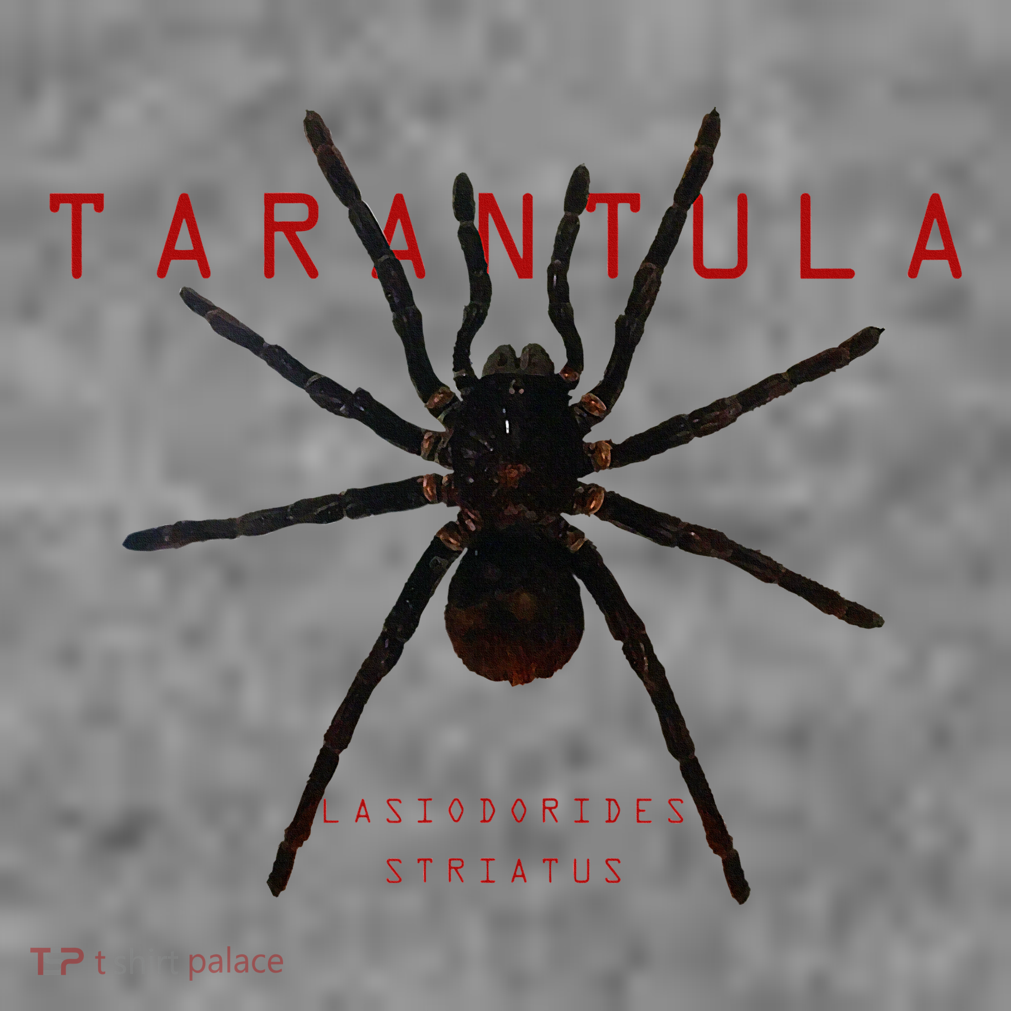 Creepy Real Taxidermy Tarantula Spider Toddler Hoodie