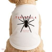 Creepy Real Taxidermy Tarantula Spider Doggie Tank thumb 0