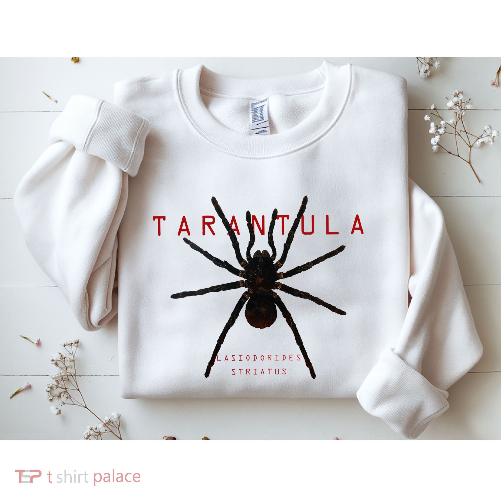 Creepy Real Taxidermy Tarantula Spider Sweatshirt
