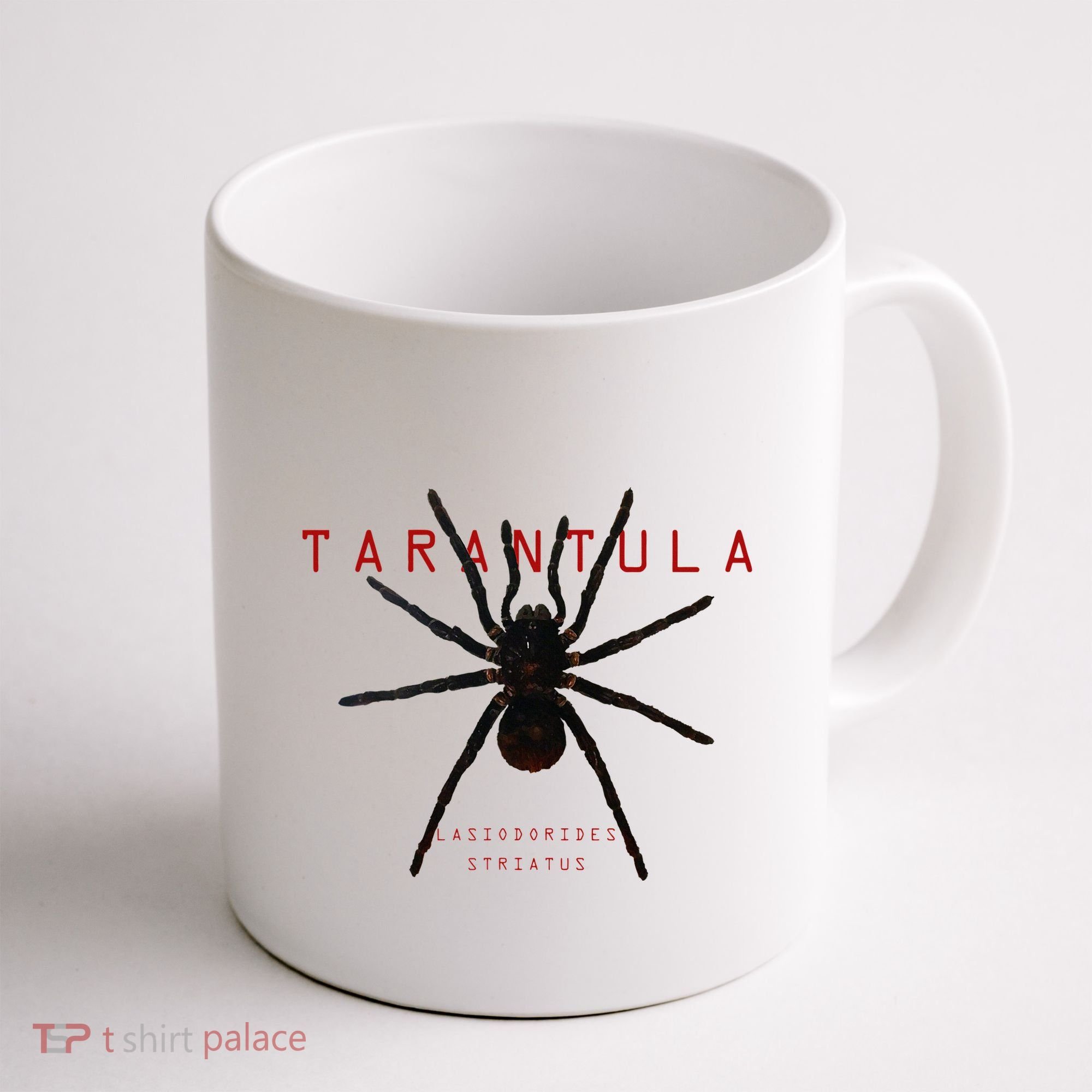 Creepy Real Taxidermy Tarantula Spider Coffee Mug