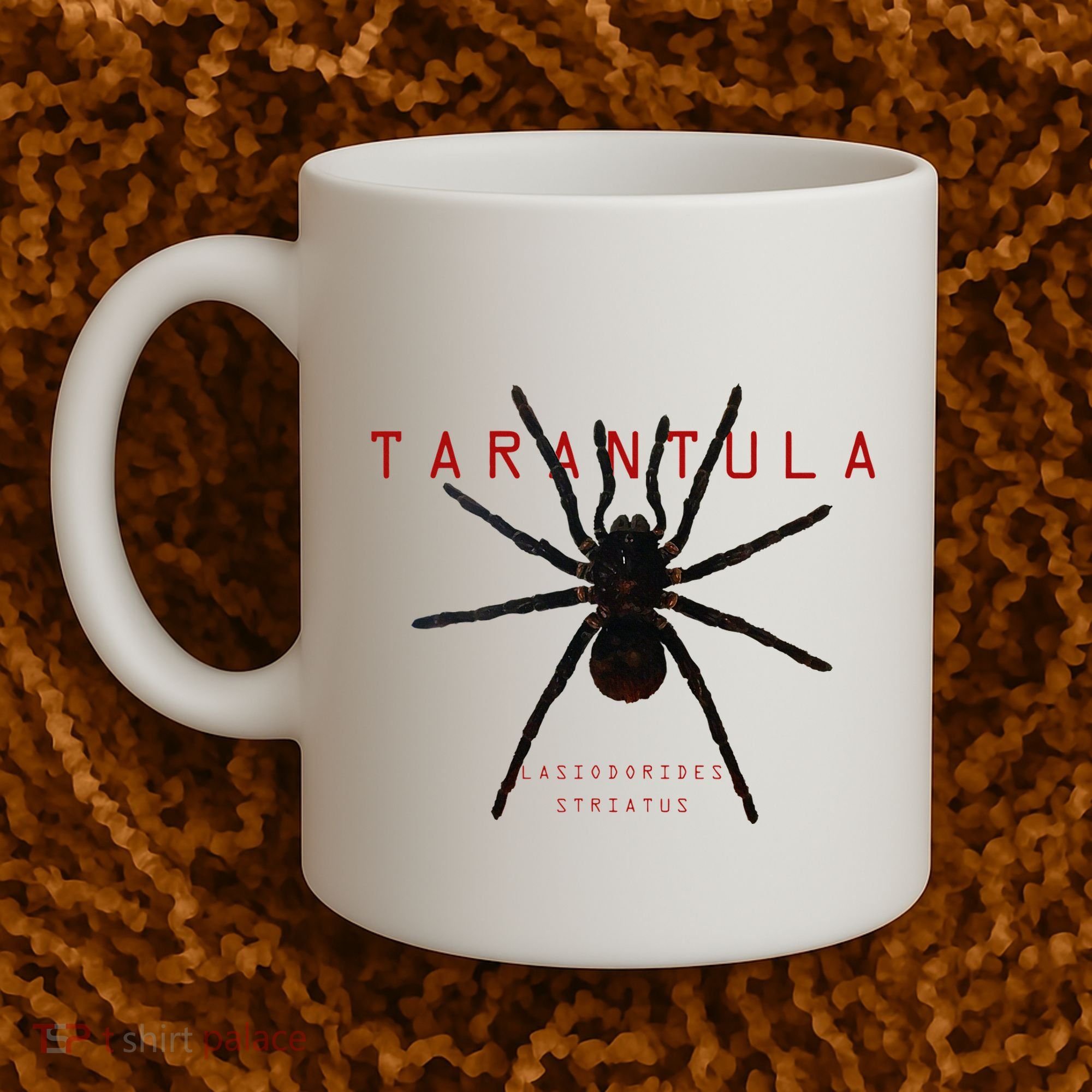 Creepy Real Taxidermy Tarantula Spider Coffee Mug