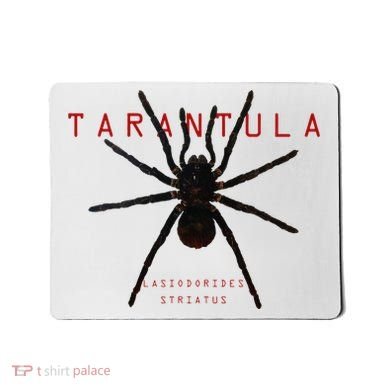 Creepy Real Taxidermy Tarantula Spider Mousepad
