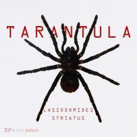 Creepy Real Taxidermy Tarantula Spider Mousepad thumb 1