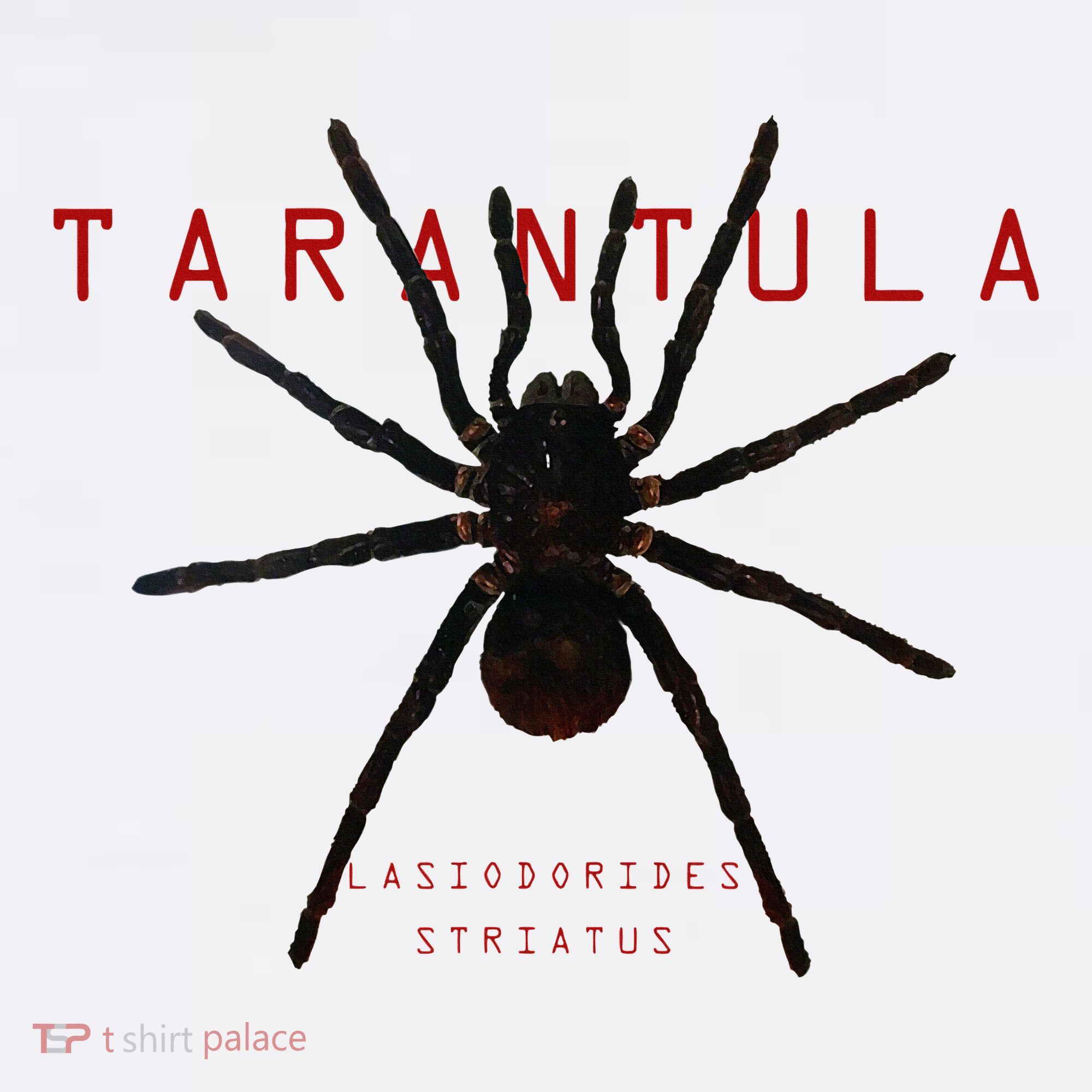 Creepy Real Taxidermy Tarantula Spider Mousepad