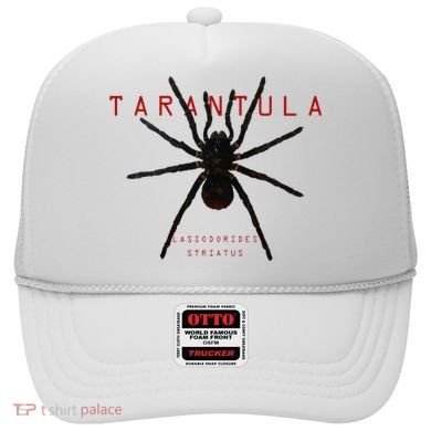 Creepy Real Taxidermy Tarantula Spider Hat