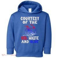 Courtesy Red White And Blue Toddler Hoodie thumb 0