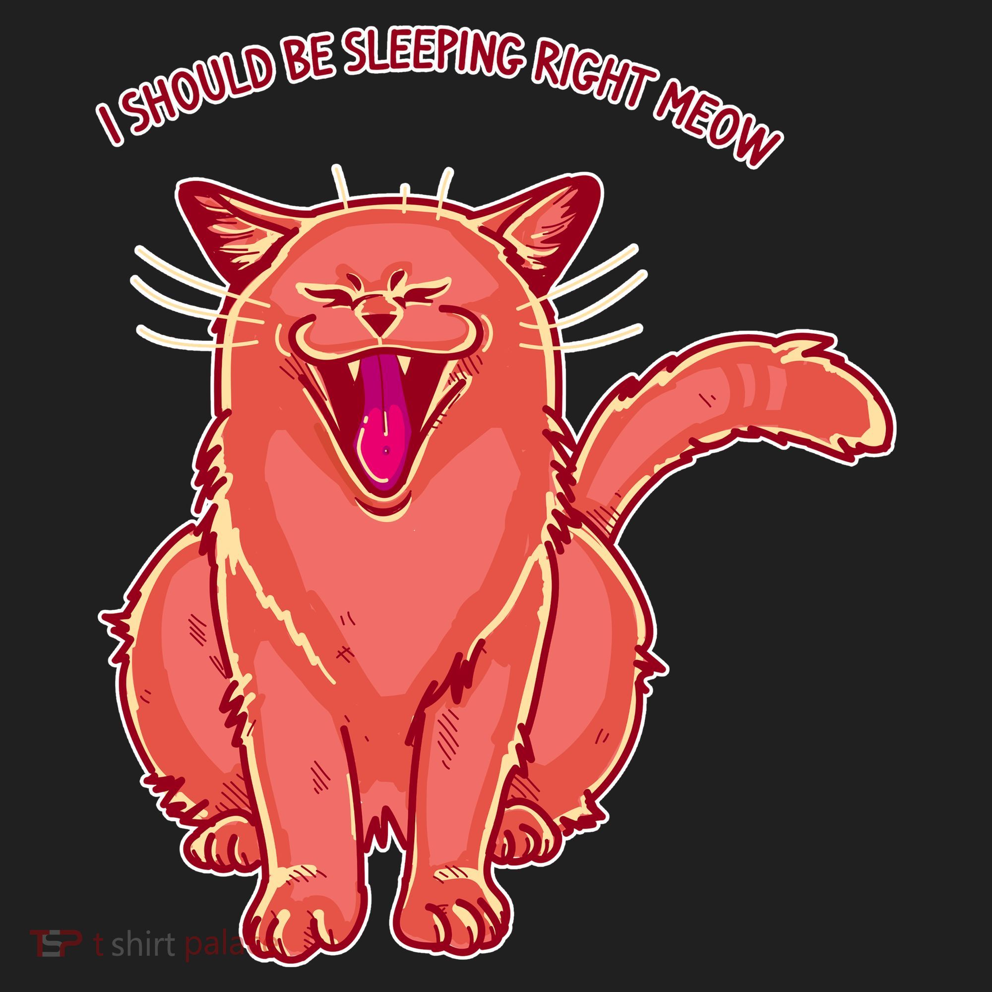 Crying Cat I should Be Sleeping Tumbler