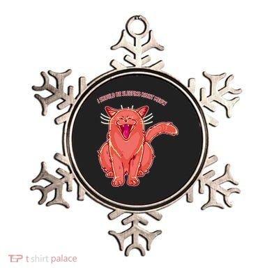 Crying Cat I should Be Sleeping Ornament