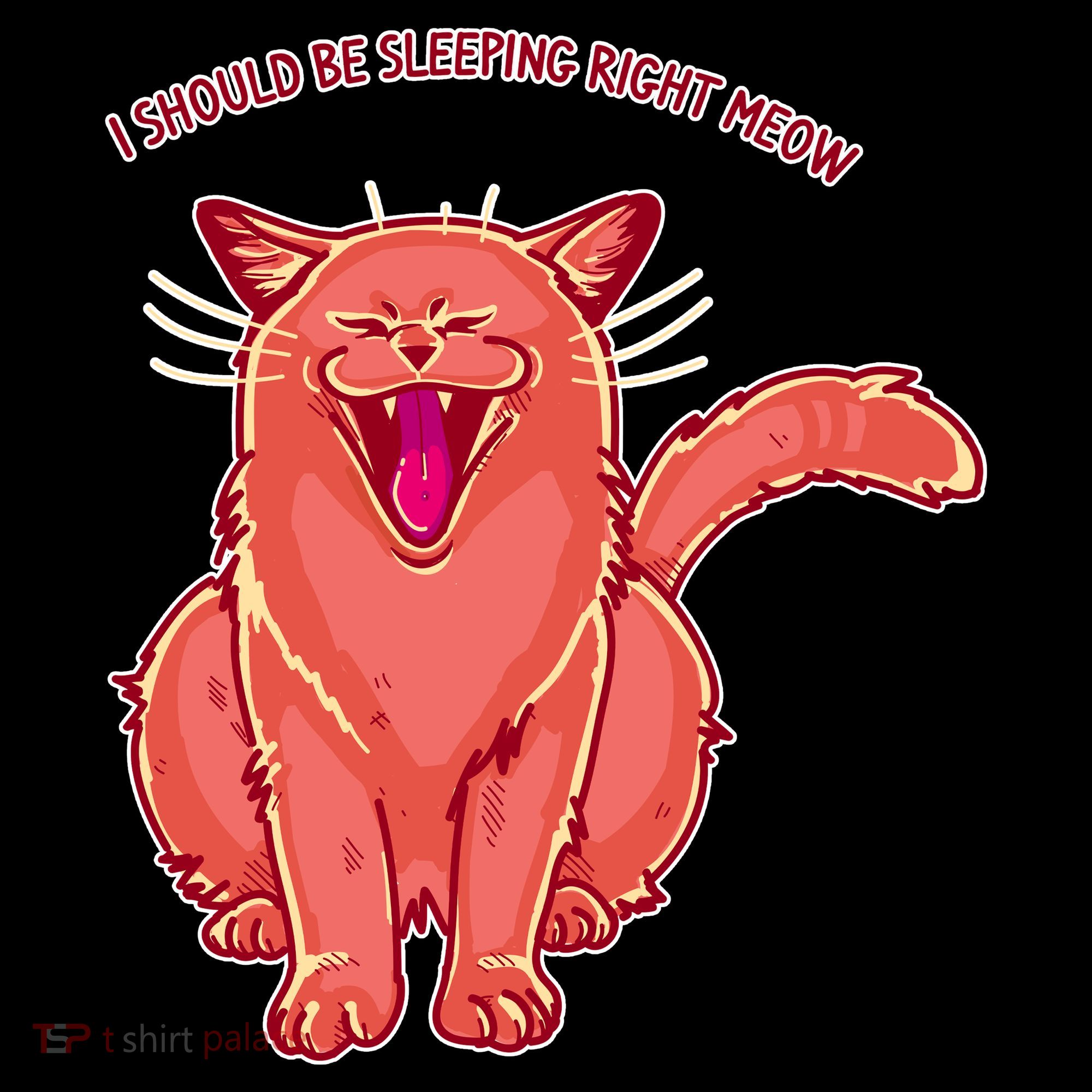 Crying Cat I should Be Sleeping Ornament
