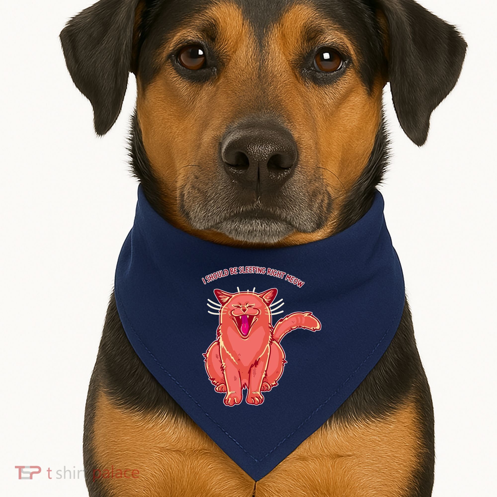 Crying Cat I should Be Sleeping USA-Made Doggie Bandana