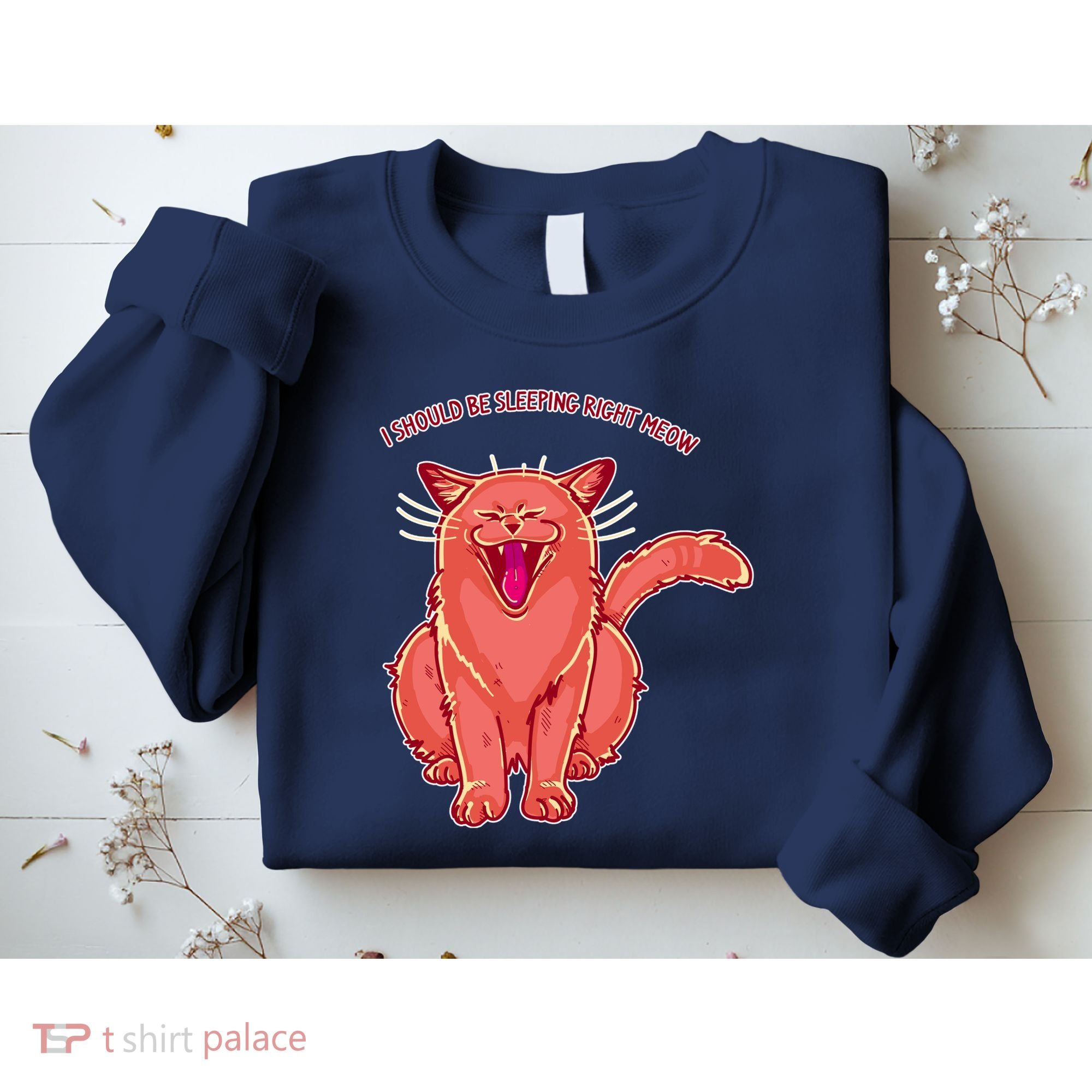 Crying Cat I should Be Sleeping Sweatshirt