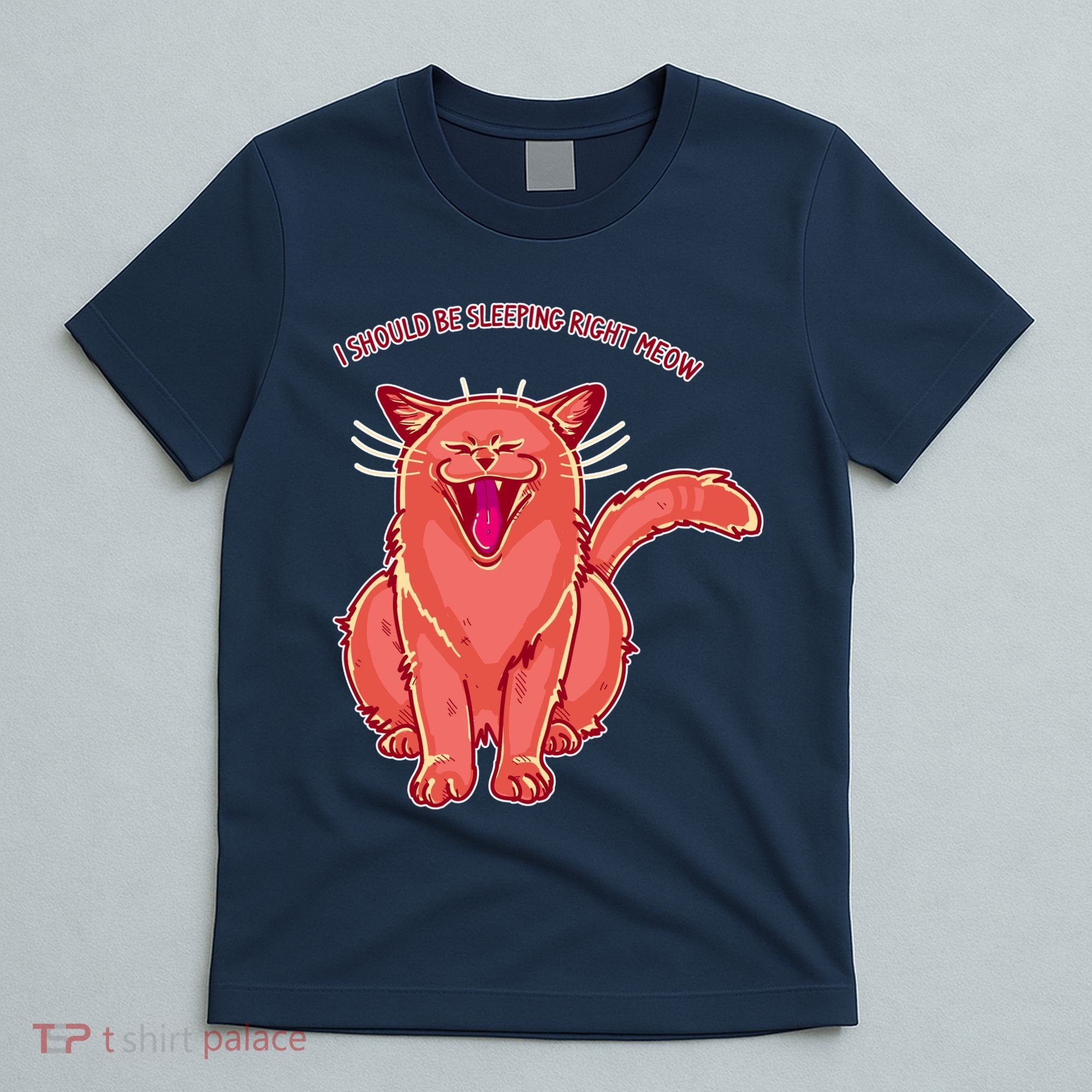 Crying Cat I should Be Sleeping T-Shirt