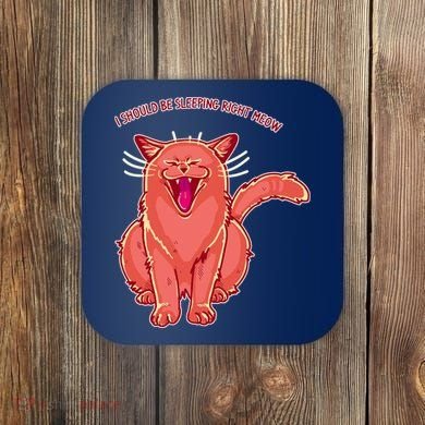 Crying Cat I should Be Sleeping Coaster