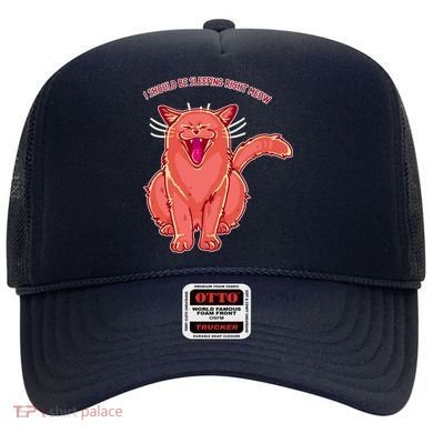 Crying Cat I should Be Sleeping Hat
