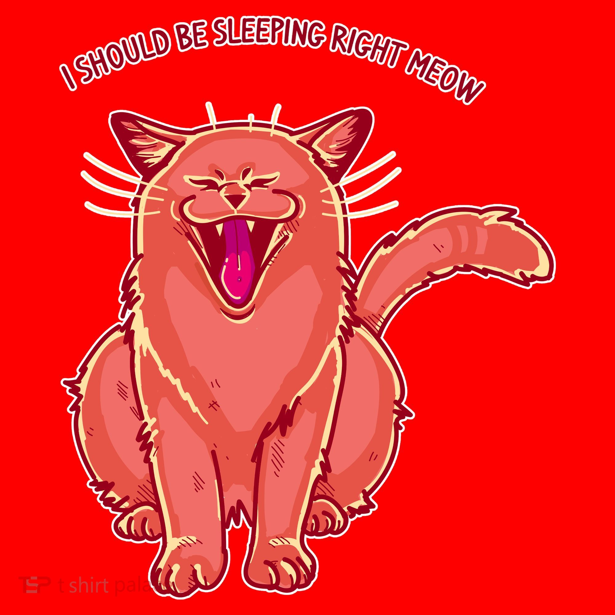 Crying Cat I should Be Sleeping Santa Hat