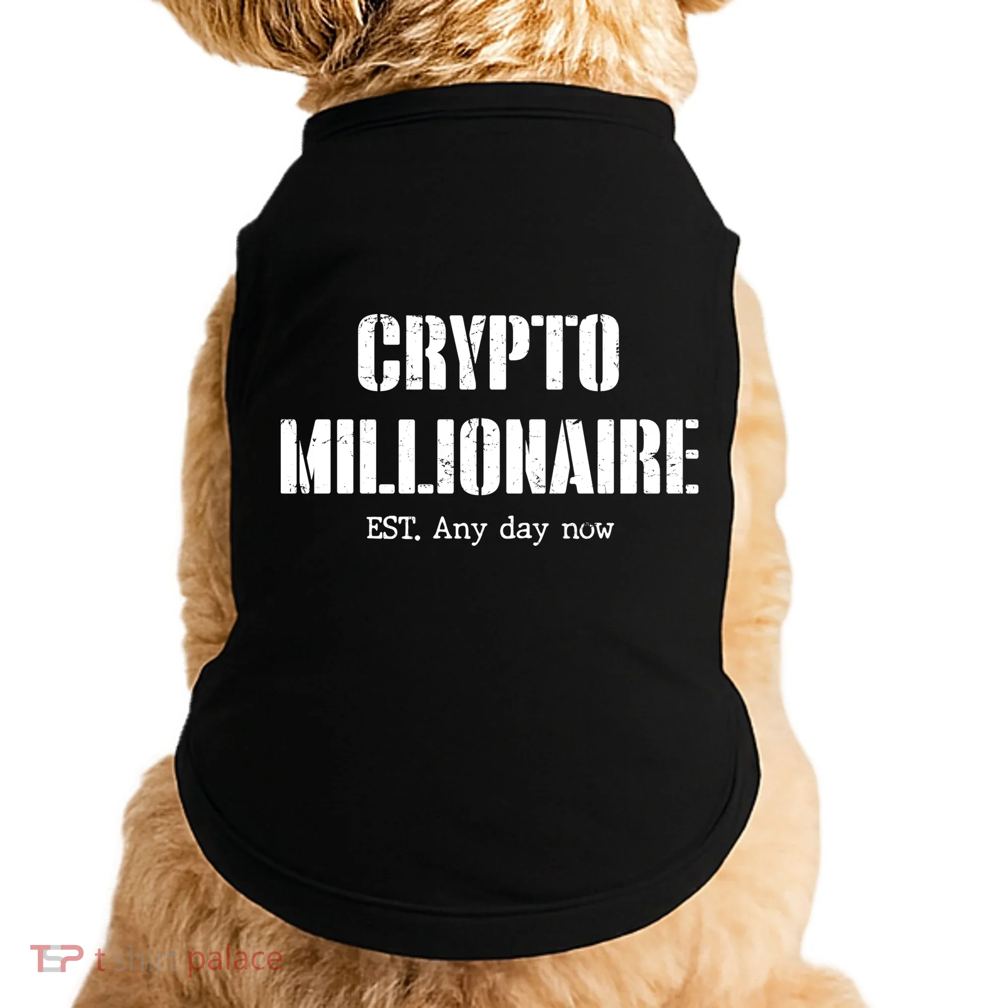 Crypto Millionaire Est. Any Day Now Doggie Tank