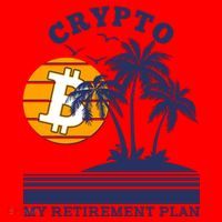 Crypto My Retirement Plan Santa Hat thumb 1