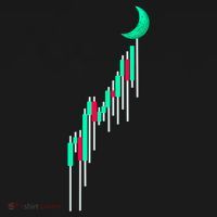 Crypto To The Moon Trading Hodl Stock Chart Doggie Tank thumb 4