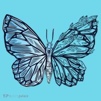 Crystal Butterfly T-Shirt thumb 6