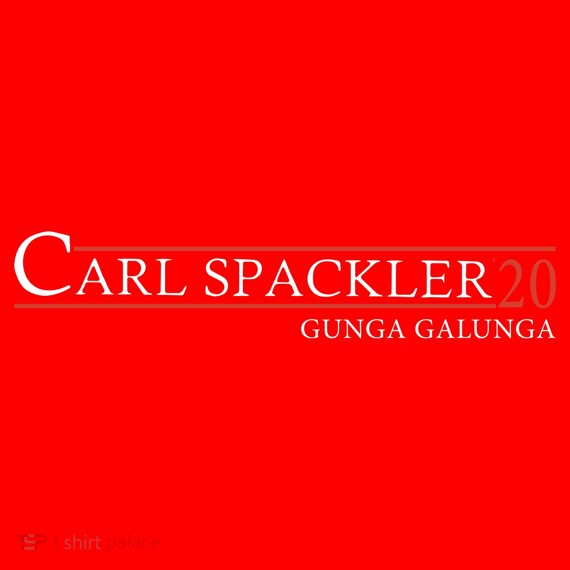 Carl Spackler 20 Gunga Galunga Twenty Birthday America Santa Hat