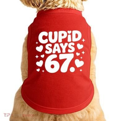 Cupid Says 67 Funny 6-7 Valentines Day Doggie Tank