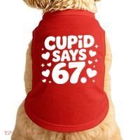 Cupid Says 67 Funny 6-7 Valentines Day Doggie Tank thumb 0