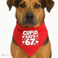 Cupid Says 67 Funny 6-7 Valentines Day USA-Made Doggie Bandana thumb 1