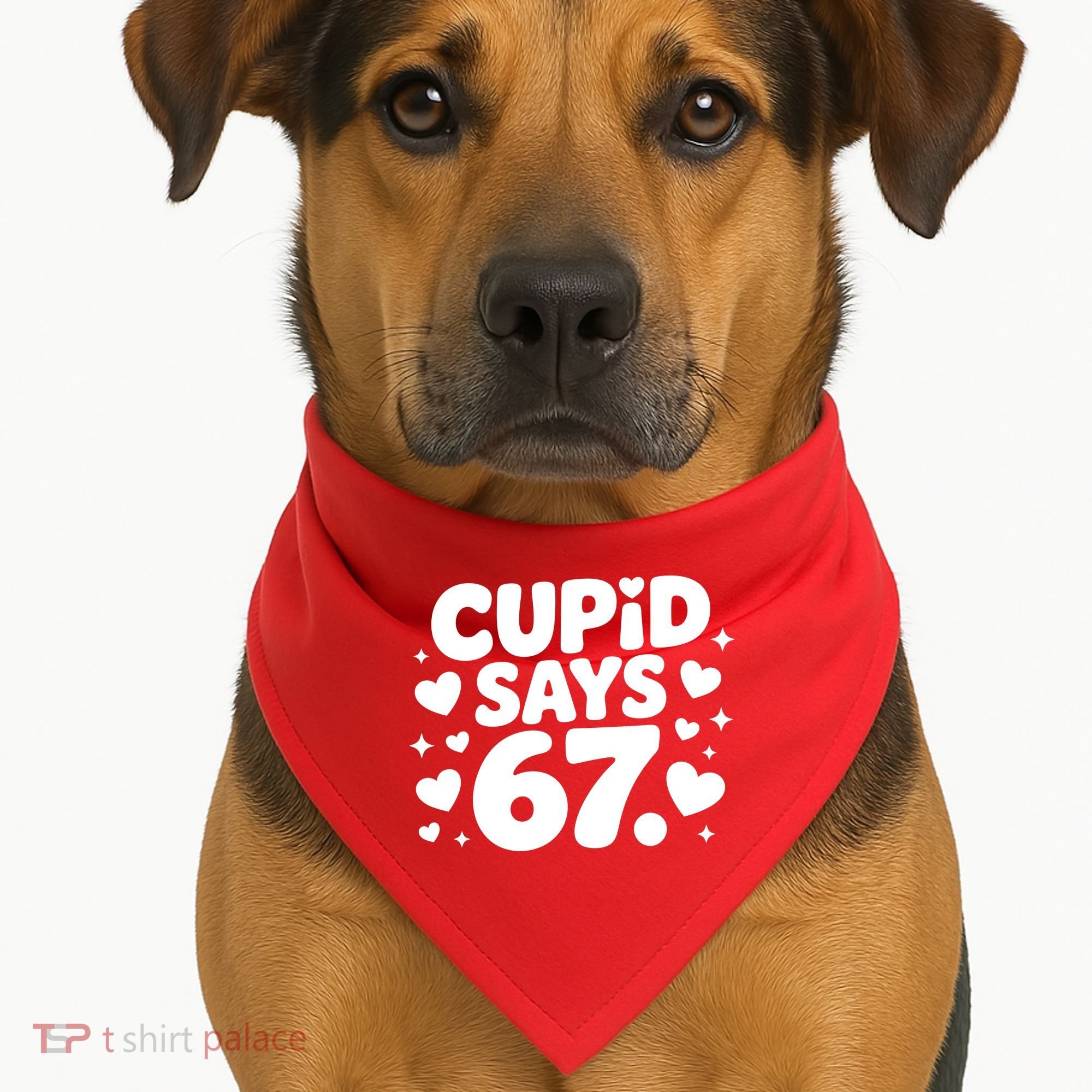 Cupid Says 67 Funny 6-7 Valentines Day USA-Made Doggie Bandana