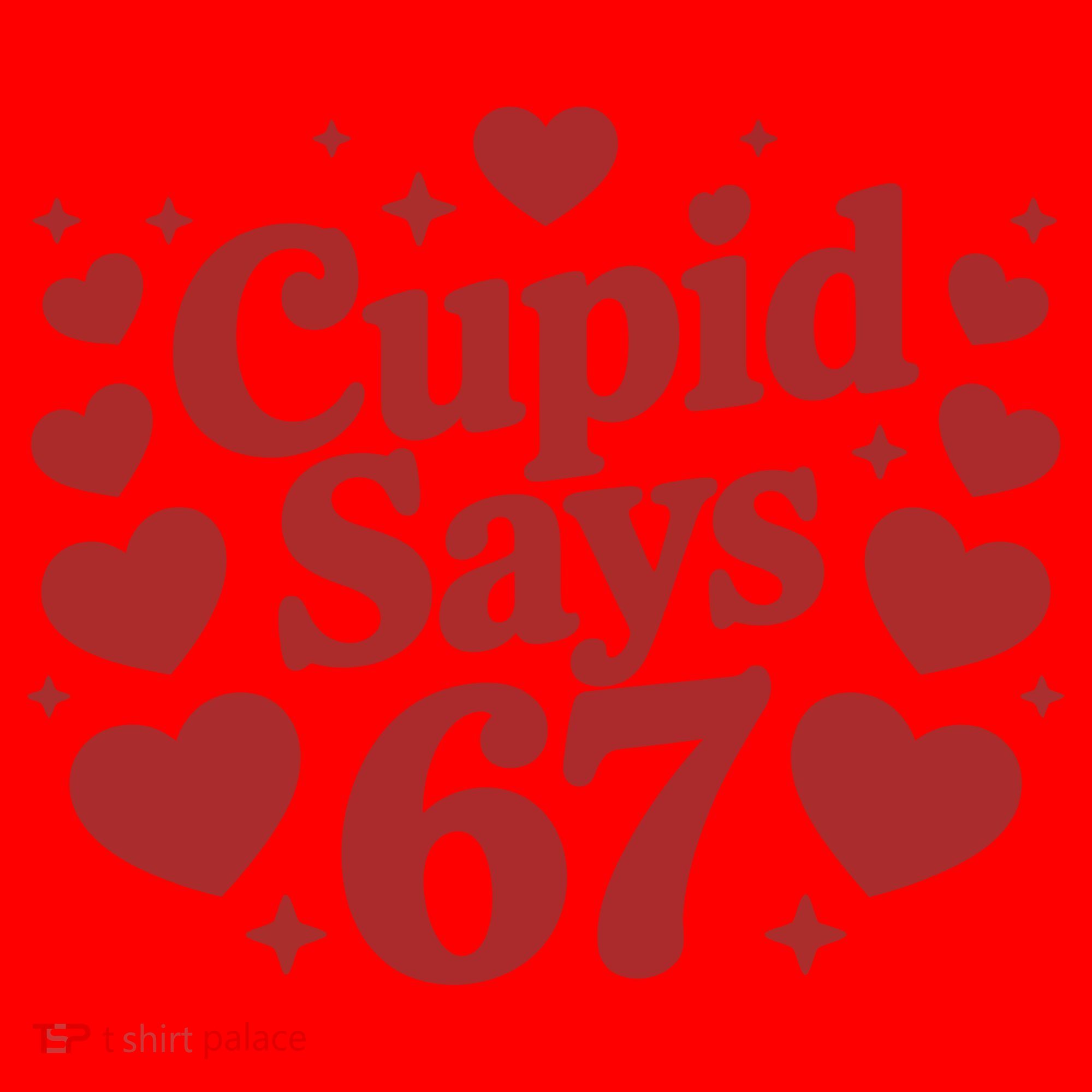 Cupid Says 67 Funny 6-7 Valentines Day Santa Hat