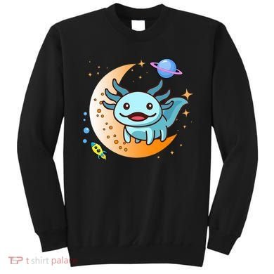 Cute Space Axolotl- I Axolotl Questions Sweatshirt