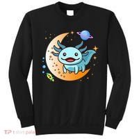 Cute Space Axolotl- I Axolotl Questions Sweatshirt thumb 0