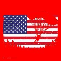 Cool Skydiving Art Wo Skydiver American Flag Skydive  Santa Hat thumb 1