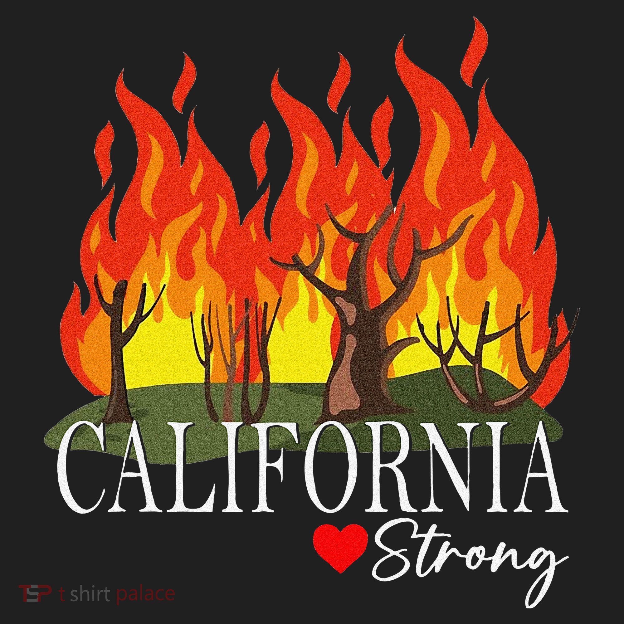 California Strong California Fire Gift Hat