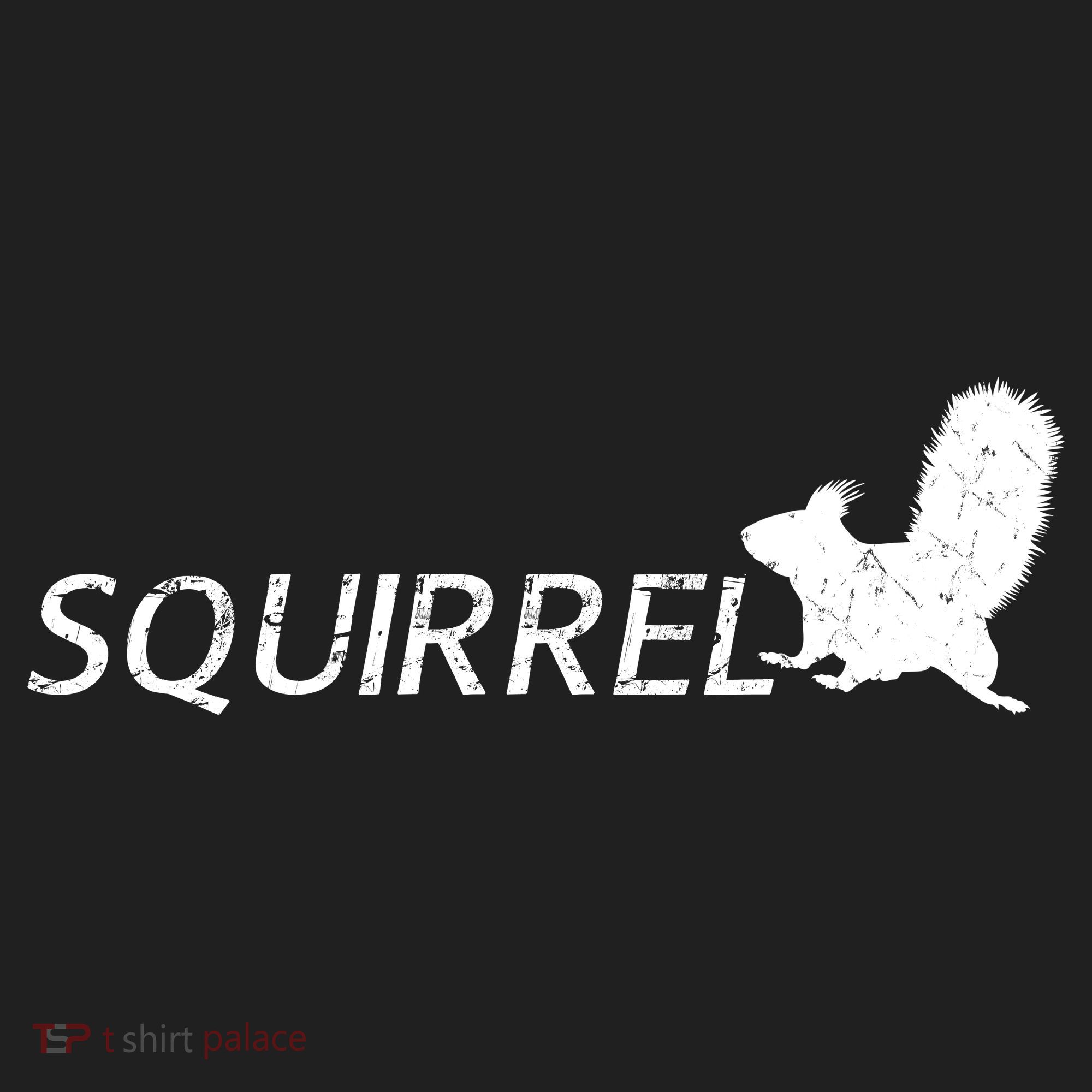 Cute Squirrel Women's Sweatshirt