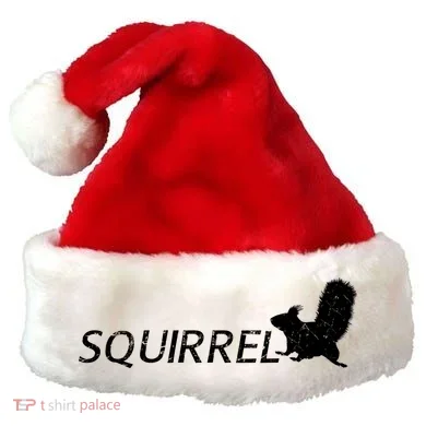 Cute Squirrel Santa Hat