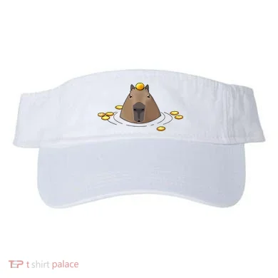 Visor