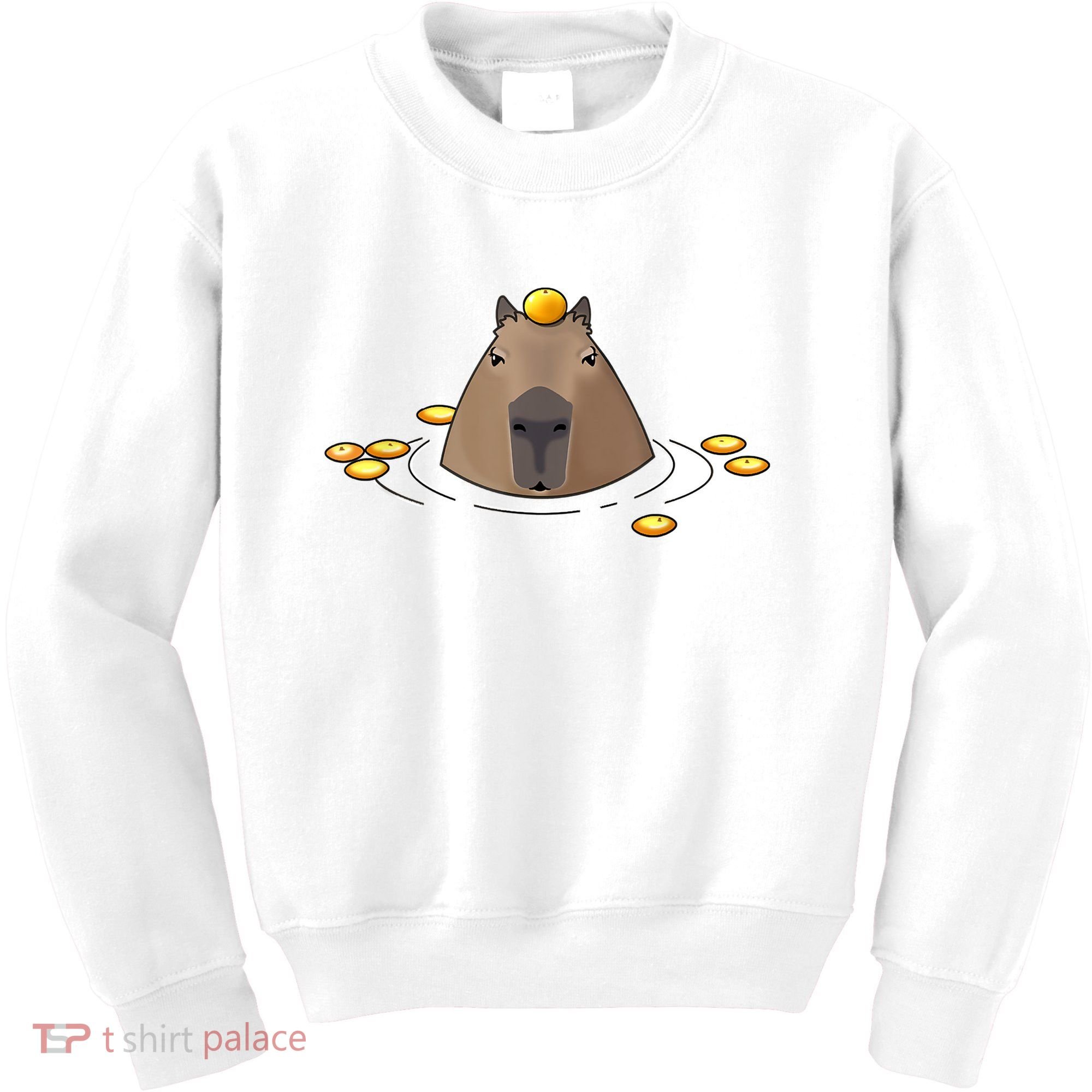 Capybaras Shirt Cute Capybara Kids Sweatshirt