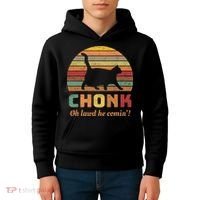 Chonk Scale Cat Chonk Cat Kids Hoodie thumb 4
