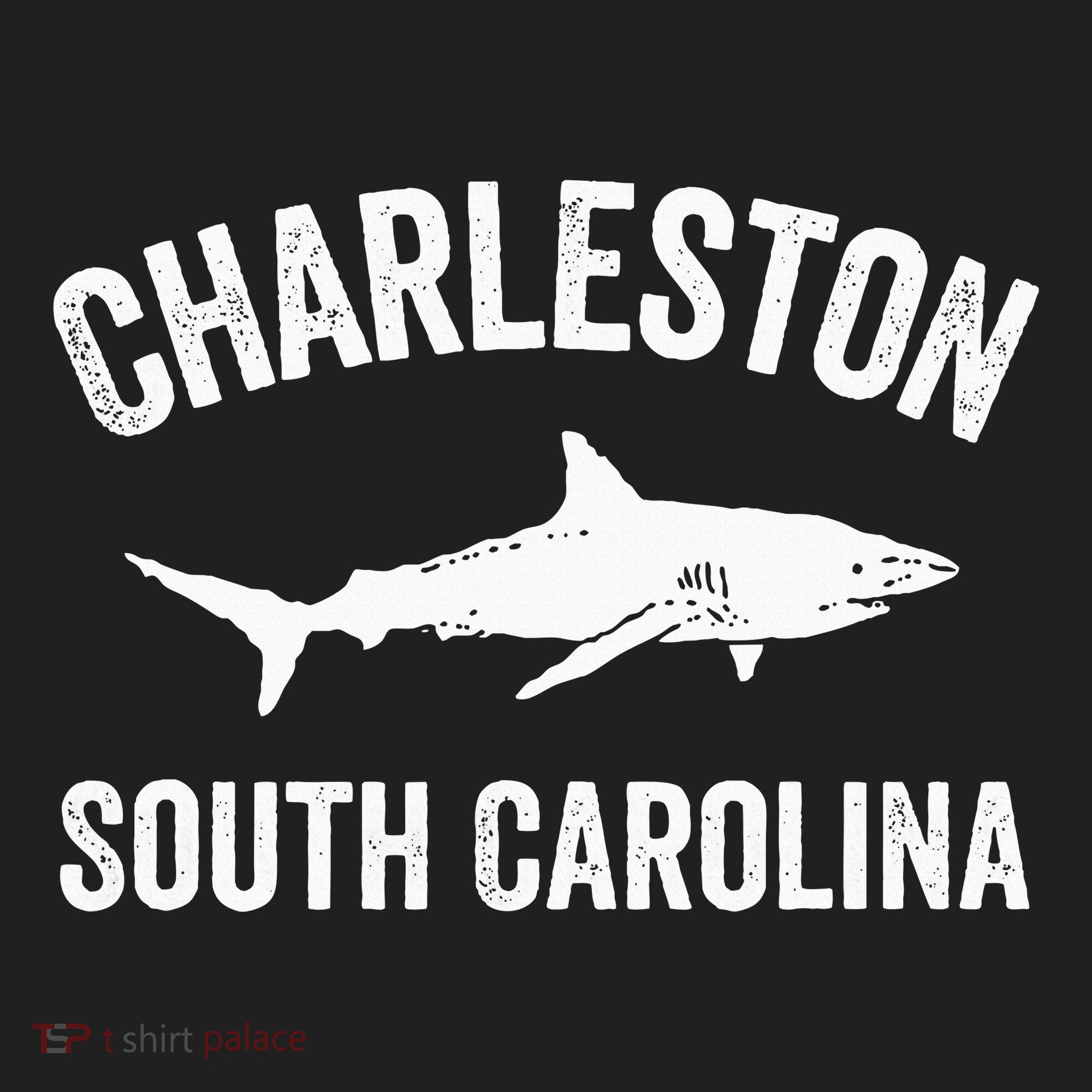 Charleston Shark Charleston South Carolina Gift Beanie