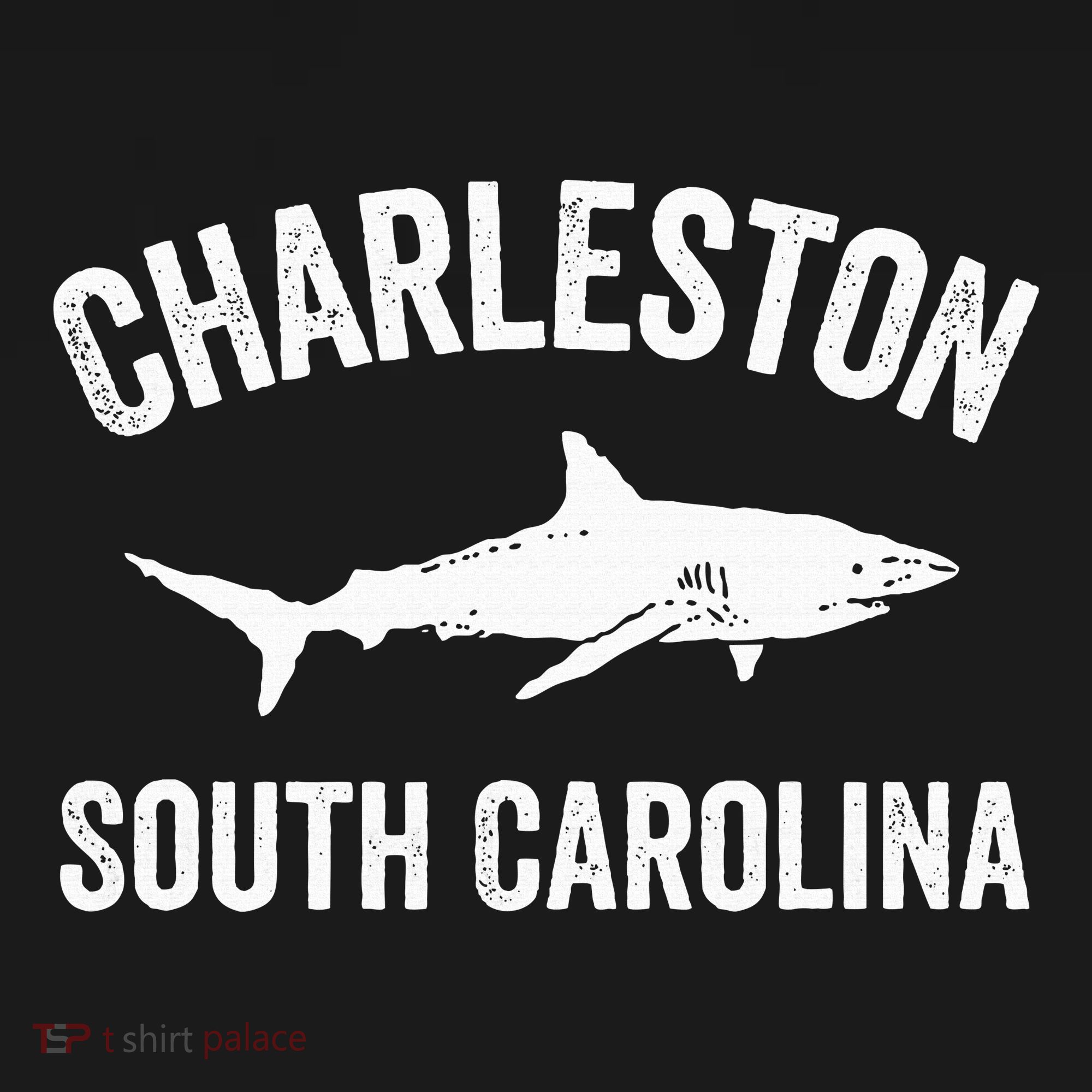 Charleston Shark Charleston South Carolina Gift Kids Sweatshirt