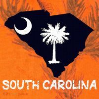 Cool South Carolina State Kati Licensed 12" Camo Cuffed Beanie thumb 2