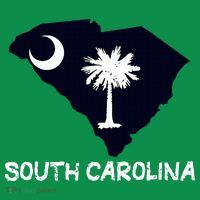 Cool South Carolina State Toddler T-Shirt thumb 4