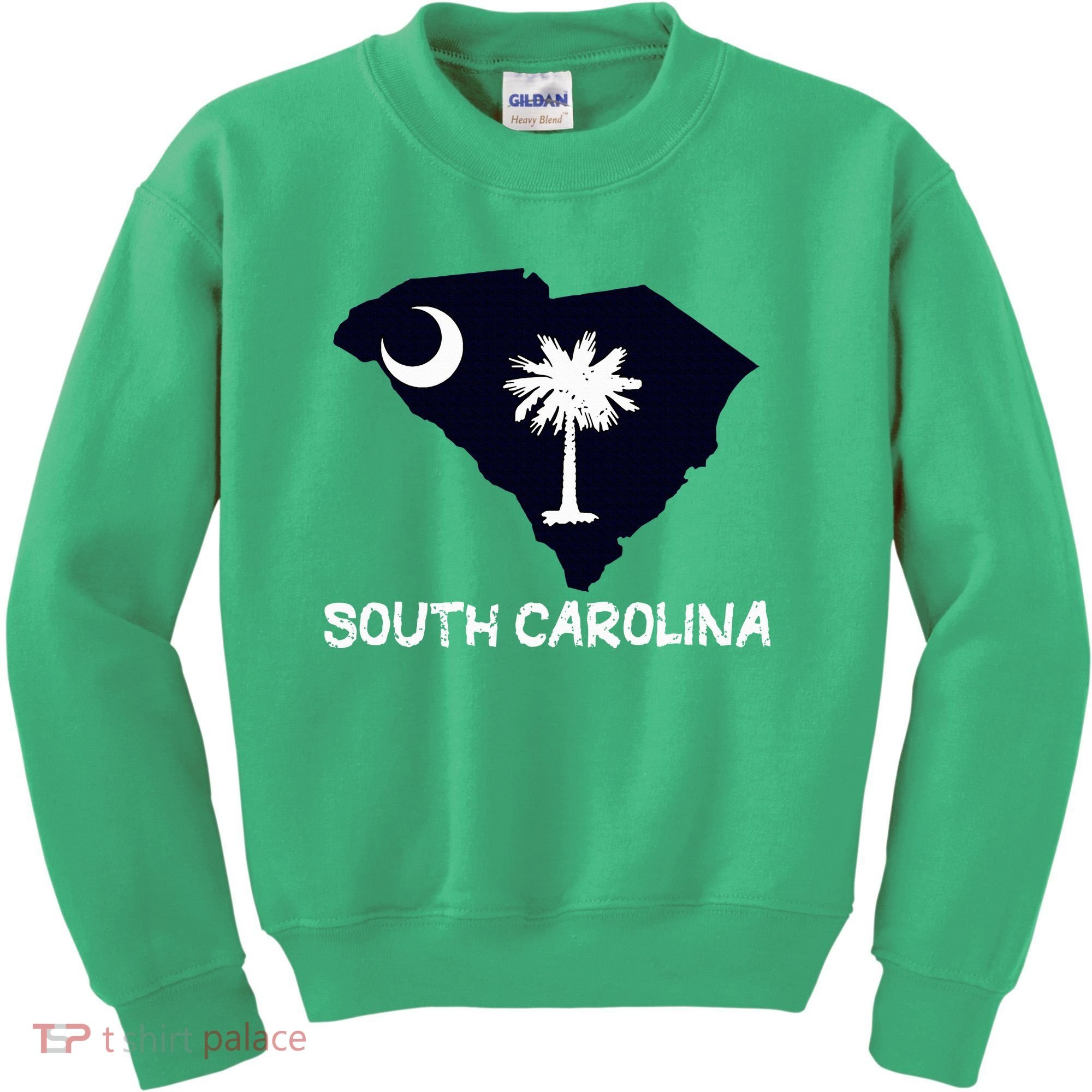 Cool South Carolina State Kids Sweatshirt