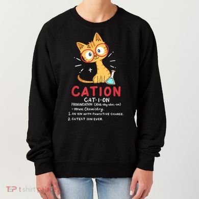 Cation Science Cat Funny Chemistry Chemist Science Teacher Women's Sweatshirt