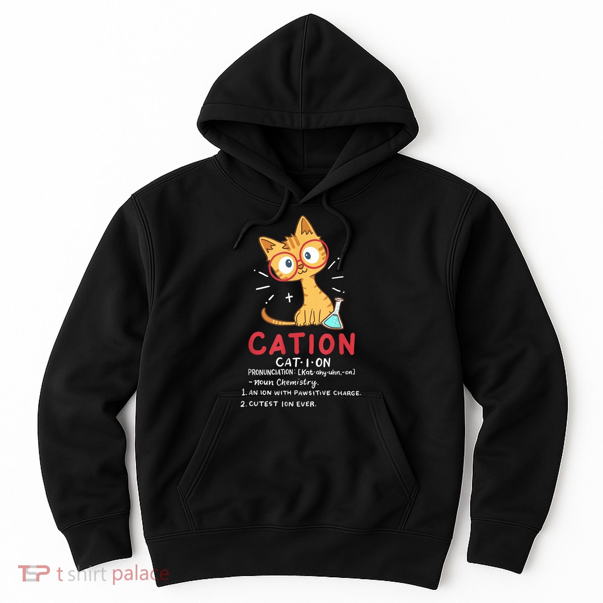 Cation Science Cat Funny Chemistry Chemist Science Teacher Hoodie