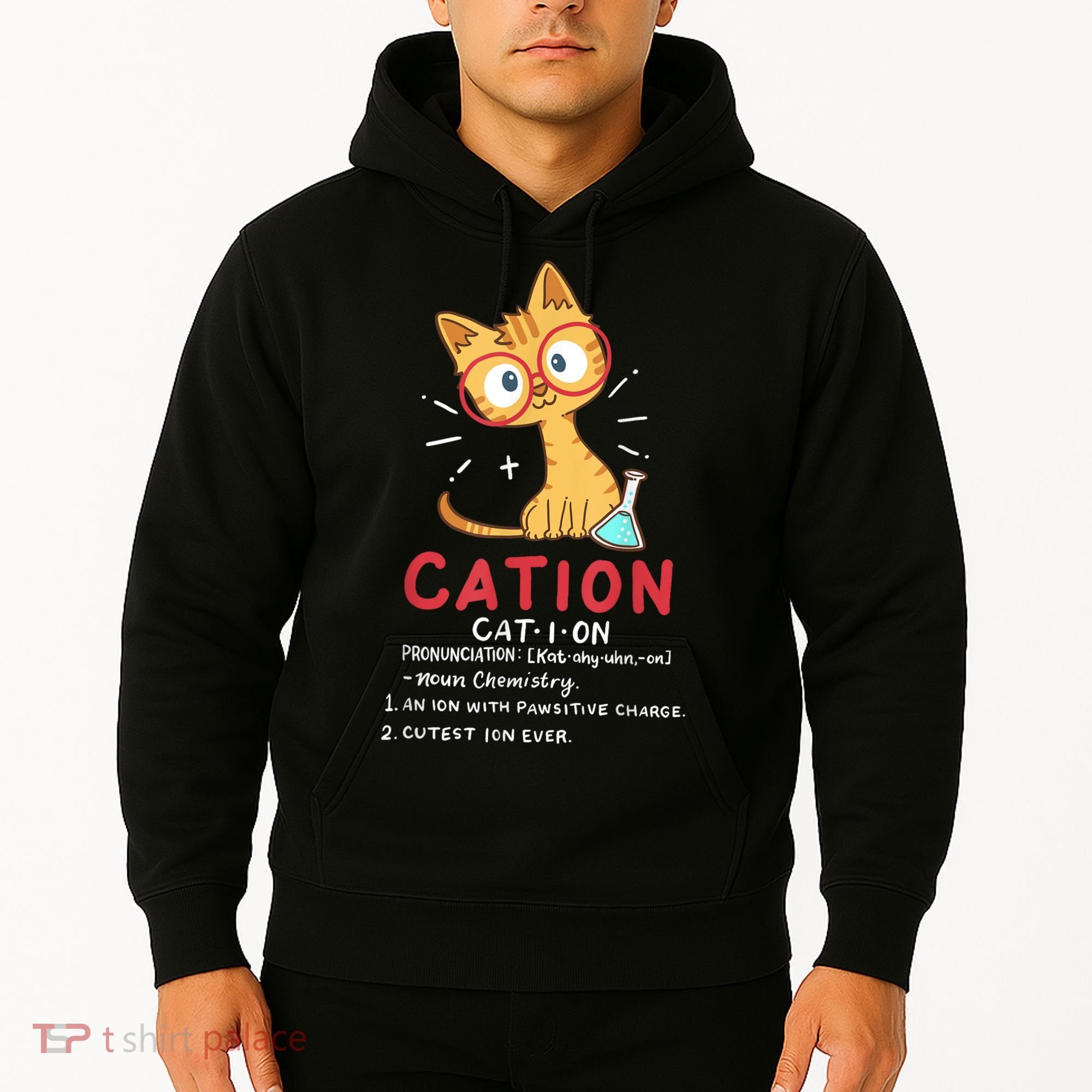 Cation Science Cat Funny Chemistry Chemist Science Teacher Hoodie