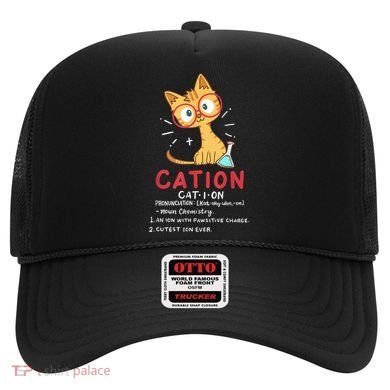 Cation Science Cat Funny Chemistry Chemist Science Teacher Hat