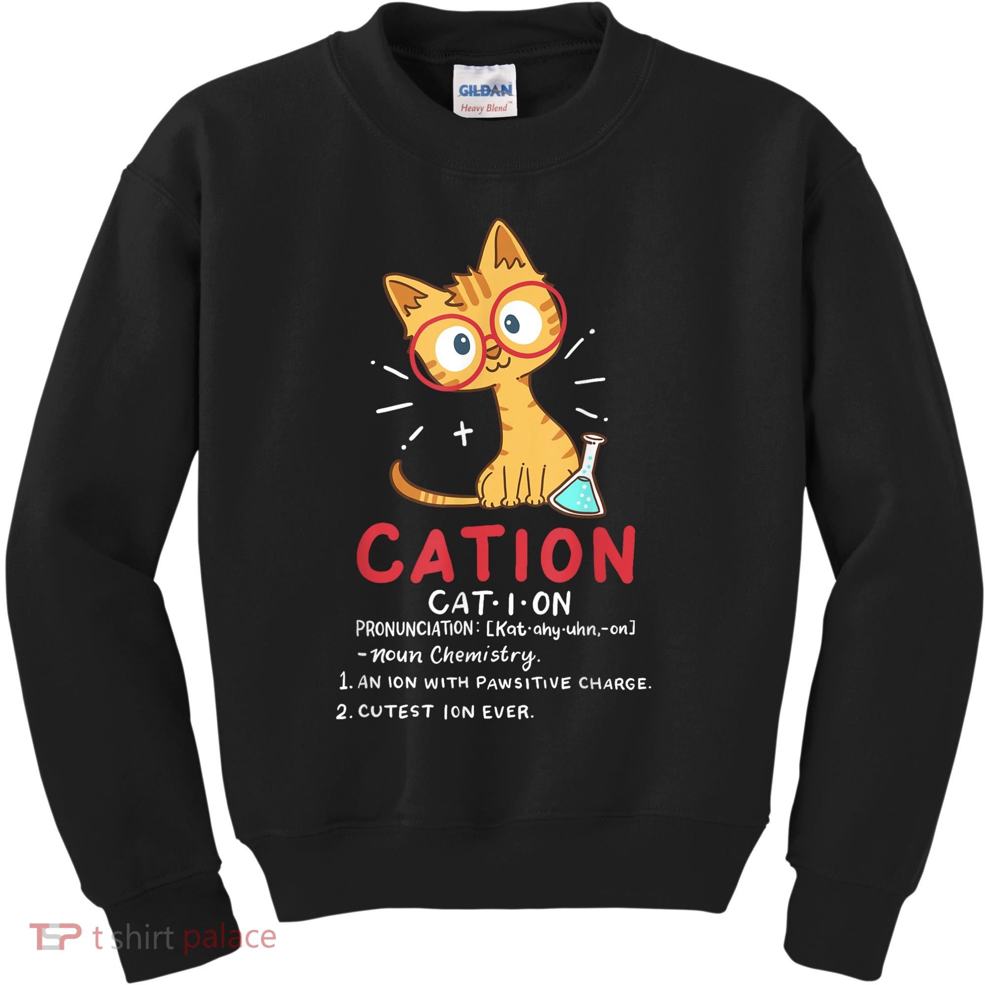 Cation Science Cat Funny Chemistry Chemist Science Teacher Kids Sweatshirt