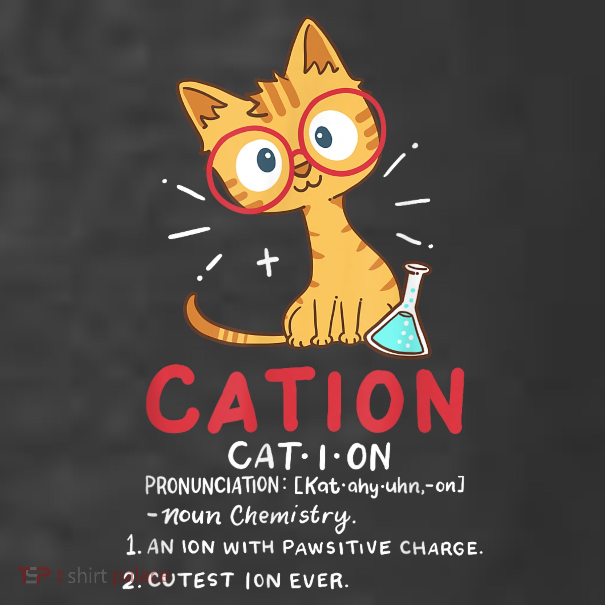 Cation Science Cat Funny Chemistry Chemist Science Teacher Women's Hoodie